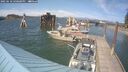./images/quadra/hbidock/20250610/hbidock20250610_160000M.jpg