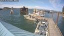 ./images/quadra/hbidock/20250610/hbidock20250610_162000M.jpg