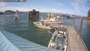 ./images/quadra/hbidock/20250610/hbidock20250610_162510M.jpg