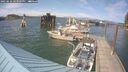 ./images/quadra/hbidock/20250610/hbidock20250610_163509M.jpg