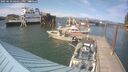 ./images/quadra/hbidock/20250610/hbidock20250610_164011M.jpg