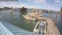 ./images/quadra/hbidock/20250610/hbidock20250610_171010M.jpg