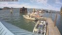 ./images/quadra/hbidock/20250610/hbidock20250610_171510M.jpg