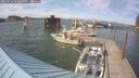 ./images/quadra/hbidock/20250610/hbidock20250610_172009M.jpg