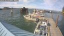 ./images/quadra/hbidock/20250610/hbidock20250610_173500M.jpg
