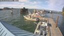 ./images/quadra/hbidock/20250610/hbidock20250610_175000M.jpg