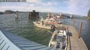 ./images/quadra/hbidock/20250610/hbidock20250610_175011M.jpg