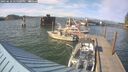 ./images/quadra/hbidock/20250610/hbidock20250610_175500M.jpg