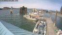 ./images/quadra/hbidock/20250611/hbidock20250611_163012M.jpg