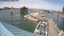 ./images/quadra/hbidock/20250611/hbidock20250611_163500M.jpg