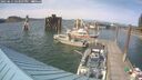 ./images/quadra/hbidock/20250611/hbidock20250611_163507M.jpg