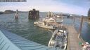 ./images/quadra/hbidock/20250611/hbidock20250611_164011M.jpg