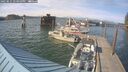 ./images/quadra/hbidock/20250611/hbidock20250611_174010M.jpg