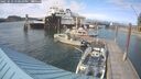 ./images/quadra/hbidock/20250612/hbidock20250612_170510M.jpg