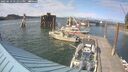 ./images/quadra/hbidock/20250612/hbidock20250612_171511M.jpg