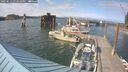 ./images/quadra/hbidock/20250612/hbidock20250612_172011M.jpg