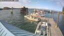 ./images/quadra/hbidock/20250612/hbidock20250612_174011M.jpg