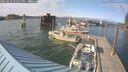 ./images/quadra/hbidock/20250612/hbidock20250612_175011M.jpg