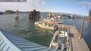 ./images/quadra/hbidock/20250612/hbidock20250612_175509M.jpg