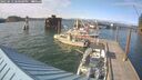 ./images/quadra/hbidock/20250612/hbidock20250612_180000M.jpg