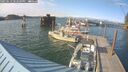 ./images/quadra/hbidock/20250612/hbidock20250612_182509M.jpg