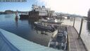 ./images/quadra/hbidock/20250613/hbidock20250613_083500M.jpg
