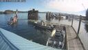 ./images/quadra/hbidock/20250613/hbidock20250613_092000M.jpg