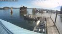 ./images/quadra/hbidock/20250613/hbidock20250613_092500M.jpg