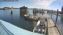 ./images/quadra/hbidock/20250613/hbidock20250613_094512M.jpg