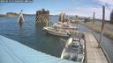 ./images/quadra/hbidock/20250613/hbidock20250613_115000M.jpg