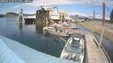 ./images/quadra/hbidock/20250613/hbidock20250613_144511M.jpg