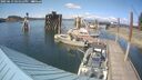 ./images/quadra/hbidock/20250613/hbidock20250613_161512M.jpg