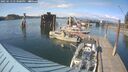 ./images/quadra/hbidock/20250613/hbidock20250613_173000M.jpg