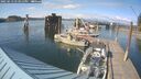 ./images/quadra/hbidock/20250613/hbidock20250613_173012M.jpg
