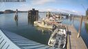 ./images/quadra/hbidock/20250613/hbidock20250613_175000M.jpg