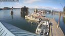 ./images/quadra/hbidock/20250613/hbidock20250613_175011M.jpg