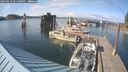 ./images/quadra/hbidock/20250613/hbidock20250613_175500M.jpg
