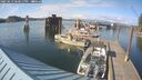 ./images/quadra/hbidock/20250613/hbidock20250613_180511M.jpg