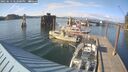 ./images/quadra/hbidock/20250613/hbidock20250613_182000M.jpg