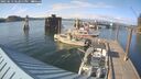 ./images/quadra/hbidock/20250613/hbidock20250613_182011M.jpg