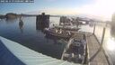 ./images/quadra/hbidock/20250614/hbidock20250614_071000M.jpg