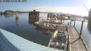 ./images/quadra/hbidock/20250614/hbidock20250614_080500M.jpg