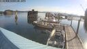 ./images/quadra/hbidock/20250614/hbidock20250614_081511M.jpg