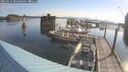 ./images/quadra/hbidock/20250614/hbidock20250614_082000M.jpg