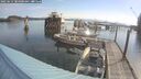 ./images/quadra/hbidock/20250614/hbidock20250614_084000M.jpg