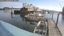 ./images/quadra/hbidock/20250614/hbidock20250614_084500M.jpg