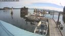 ./images/quadra/hbidock/20250614/hbidock20250614_092510M.jpg