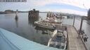 ./images/quadra/hbidock/20250614/hbidock20250614_093510M.jpg