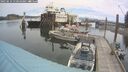 ./images/quadra/hbidock/20250614/hbidock20250614_110510M.jpg