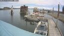 ./images/quadra/hbidock/20250614/hbidock20250614_121010M.jpg